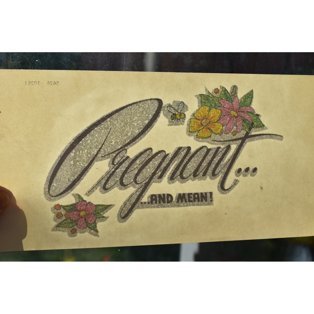 Vintage 70s Pregnant and Mean Glitter Iron On Transfer Graphic NOS Retro Humor